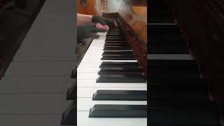 The Long Dark - Fury Then Silence Piano Cover