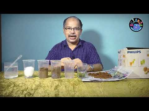 വിത്ത് മുളയ്ക്കാൻ ആവശ്യമായ ഘടകങ്ങൾ I Science experiment I ILLIAS Perimbalam I Science Malayalam