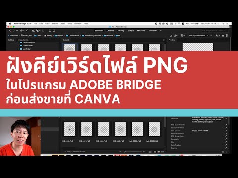 ฝังคีย์เวิร์ดไฟล์ PNG ในโปรแกรม Adobe Bridge ก่อนส่งขายที่ Canva