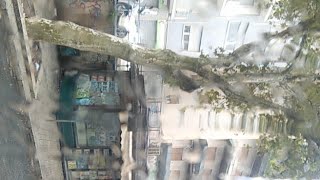 Palermo Live From Bus S