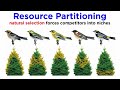 Community Dynamics and Interactions in Ecology