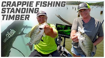 How to Catch Crappies in Standing Timber