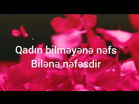 8 Mart təbrikləri