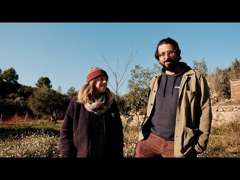 Hi, we are Harriet and Mauro and in February 2021 we bought an abandoned smallholding in Castellón, Spain. In these videos we share our life as we restore and improve our little stone house,...