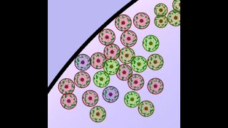 Cell lab Breeding II Challenge 17. Walkthrough | Cell lab English español