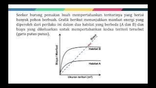 OSN-K 2024 - No 41 - Etologi