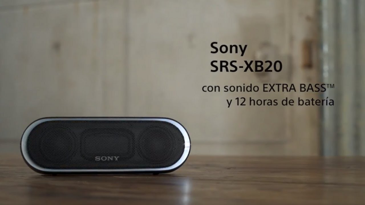 Аккумулятор srs xb20
