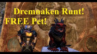 ESO FREE Deadlands Non Combat Pet