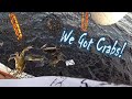 Astor Fish Camp - We Got Crabs!