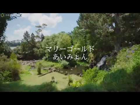 あいみょん「マリーゴールド」「  ハルノヒ」アコースティックバージョン。