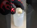 Liquid Nitrogen vs Fungus 🤯 #experiment #asmr #liquidnitrogen #mms