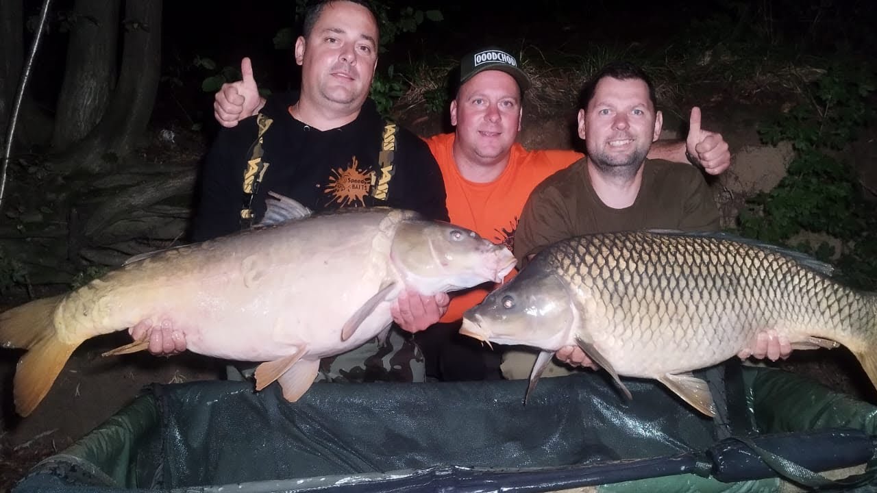 Lov kapra VN Domaša 2023 Speedy Baits