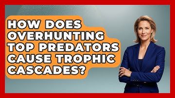 How Does Overhunting Top Predators Cause Trophic Cascades? - Explaining Ecology