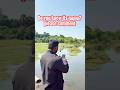 Do you know its name? #shorts #nature #trending #viral