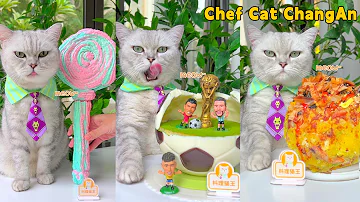Chef Cat S Newest Recipes That Will AMAZE YOU Cat Cooking Food Cute And Funny Cat 