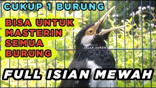 Download Lagu SUARA BURUNG JALAK SUREN GACOR FULL ISIAN paling cocok buat PANCINGAN dan MASTERAN JALAK agar CEPAT MP3