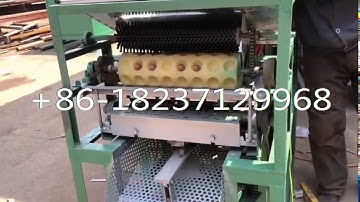Macadamia nut cracker tapping sawing machine/ Macadamia nut cracking opening cutting machine