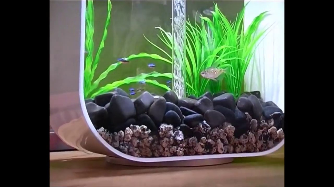 biOrb Life Aquarium Collection  YouTube