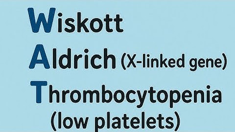 Wiskott-Aldrich syndrome song/ USMLE Immunology song/  High Yield 🛡️