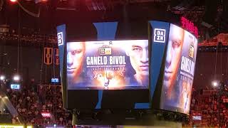 Dmitry Bivol ring walk for Canelo Alvarez
