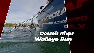 Detroit River Walleye Run! Millions of fish were in the river!