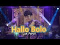 HALLO BOLO - CAK PERCIL [ New Single ]