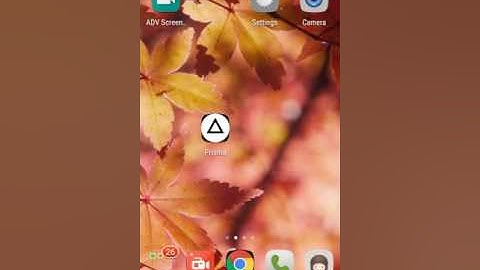 Prisma official android app (English review)
