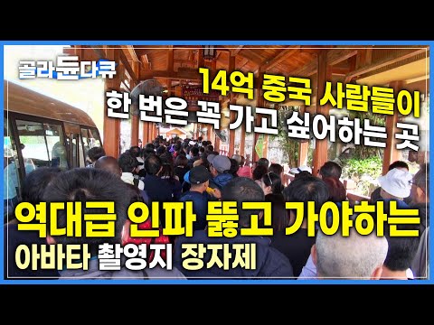 &amp;#39;중국에선 흔한 매표소 줄&amp;#39; 중국 사람들이 살면서 한 번은 꼭 가고 싶어하는 곳⛰늘 역대급 인파로 붐비는 장자제 가는 길ㅣ영화 아바타 촬영지ㅣ#골라듄다큐