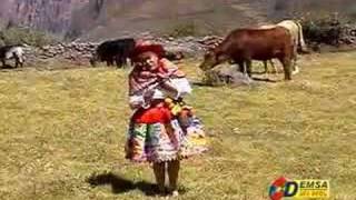colquina de oro