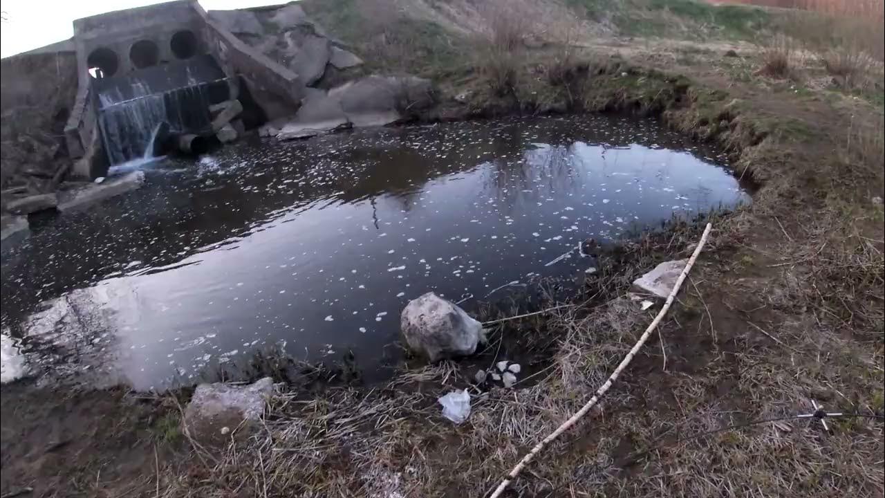 Кипящий ручей. Рыбалканапаук.