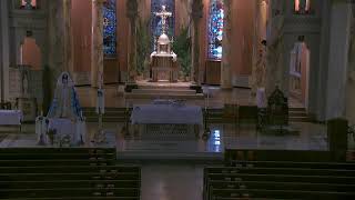 English Mass - 11:15am