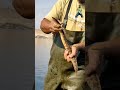 الحنكليس Fishing الصيد الفرات خالدالبكورابواسحاق