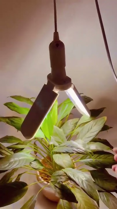 plantgrowth-2-folding-panels-e27-full-spectrum-led-grow-light-bulb-for