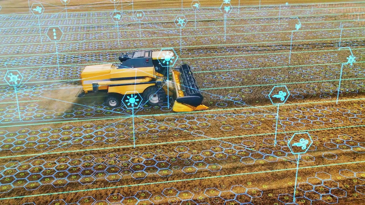 Cifo | Per un'agricoltura sostenibile