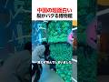 中国の超面白い脳がバグる博物館