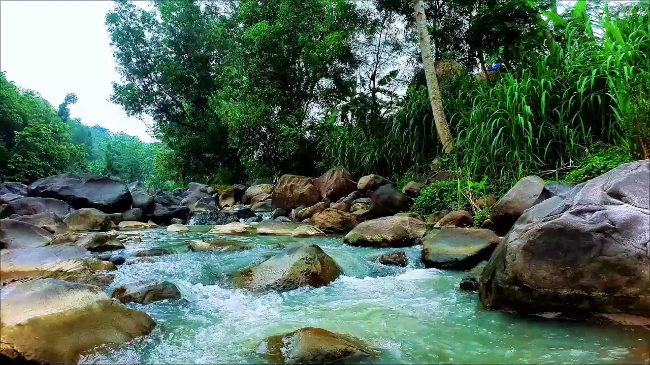 Flowing River Sounds for Rest – 12H Natural Water Ambience