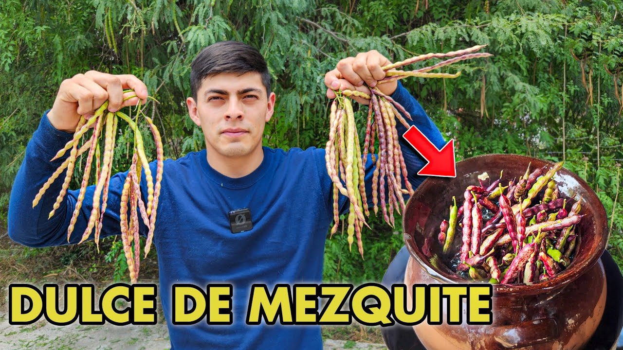 Esta Receta Está Por DESAPARECER