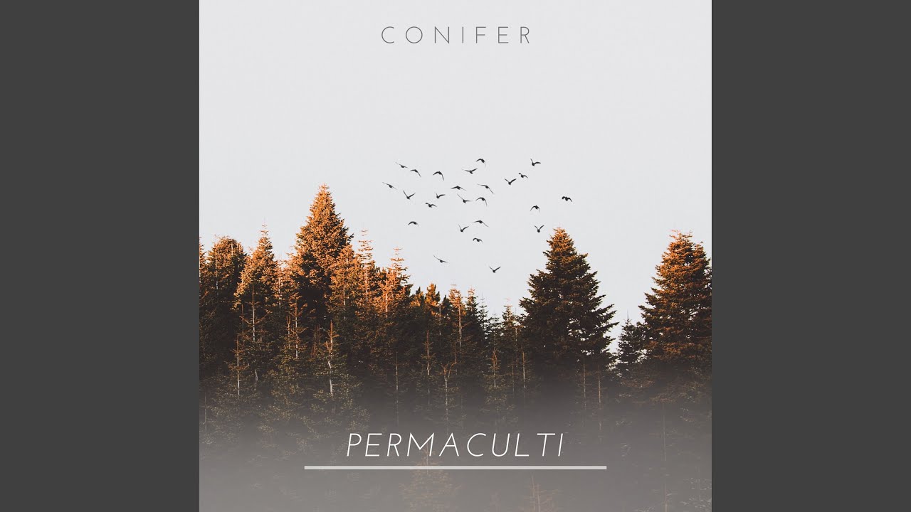 Watch Conifer on YouTube Watch Conifer on YouTube