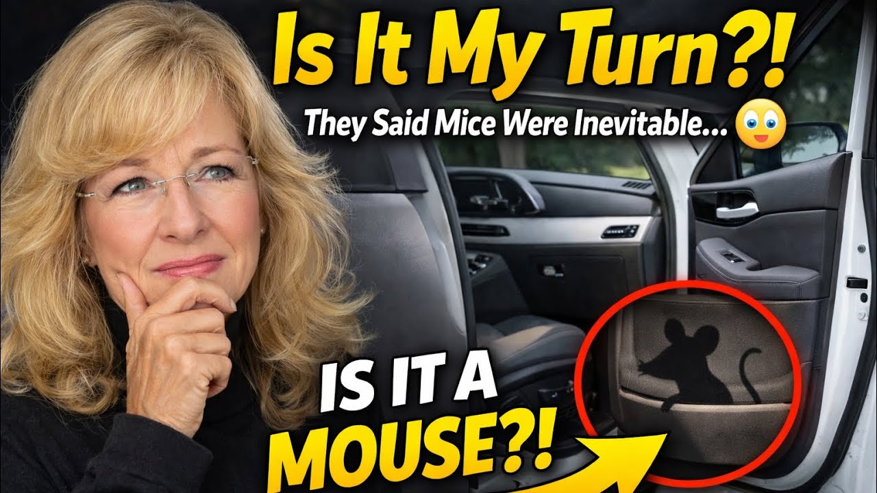 Мыши в кемпере-внедорожнике! Моя очередь?