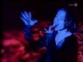 Belinda Carlisle "Half the World"