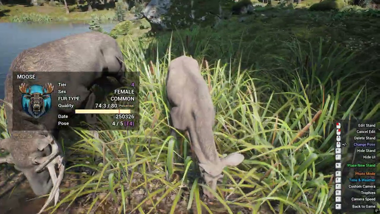 Trophy Sanctuary( WIP )