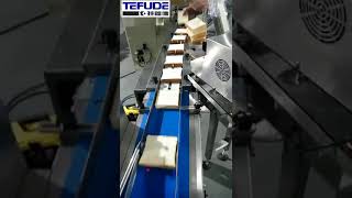 slice bread feeding packing machine
