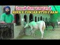 देख लो केसा बना हुआ है जसप्रीत भाई का Sher E punjab Stud Farm - (8054730069)