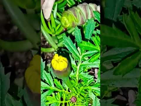 ا كسبلور تصويري عشقالطبيعه اكسبلور  