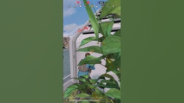 Custom Room 🔥 #codmobile #codm #shorts #short #callofdutymobile