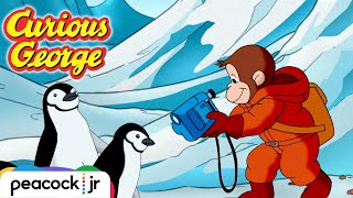 George &amp; the Picture Perfect Penguins | CURIOUS GEORGE
