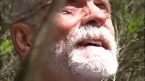 cortcamera 18 12 10.mp4