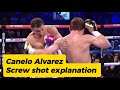Upward hook or screw shot by Canelo Alvarez. #caneloalvarez #boxeo