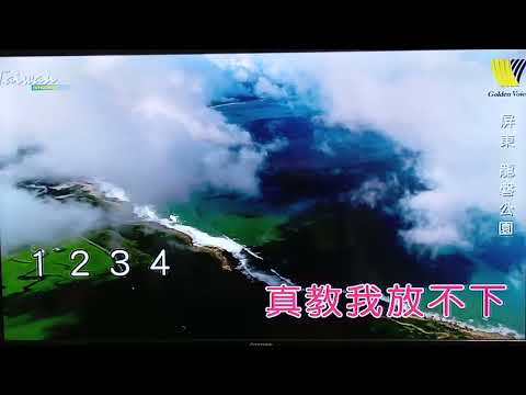 純伴奏女調(淚的小花)女Eb調+導音1，感謝聆聽