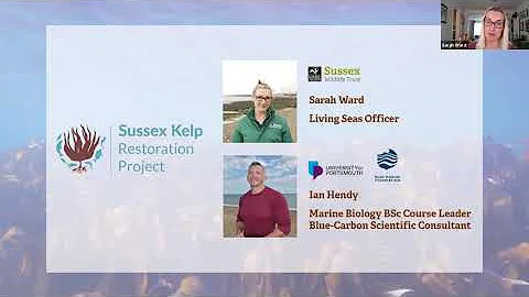 Sussex Kelp Restoration Project: Citizen Science Part One